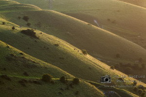 Fulking Escarpment Detail