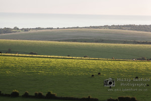 Lines of Benfield Valley
