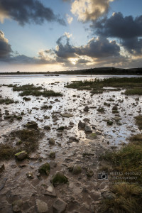 Shoreham Adur River at Low Tide