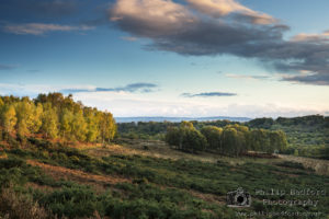 Autumn Sunset on Ashdown Forest