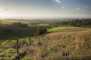 Looking South from Cissbury Ring I