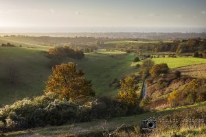 Looking South from Cissbury Ring II