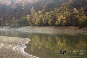 Ardingly Reservoir in Autumn III