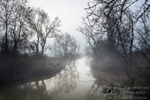 River Arun in mist I
