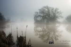 River Arun in mist II