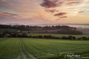 Fields around Berwick I