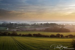 Fields around Berwick II
