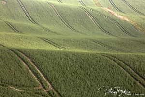 Slopes near Berwick