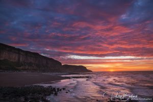 Hastings Beach I