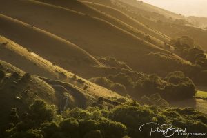 Fulking Escarpment III