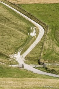 South Downs Way Perching Hill