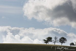 Sussex Landscape Photography