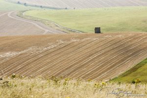 Sussex Landscape Photography