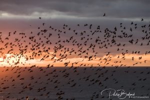 Sussex Landscape Photography