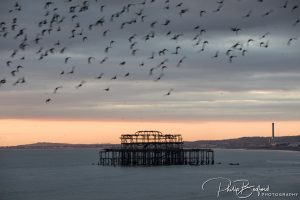 Sussex Landscape Photography