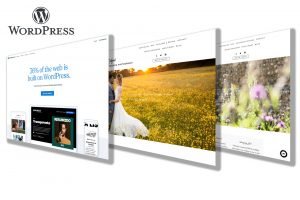 Websites