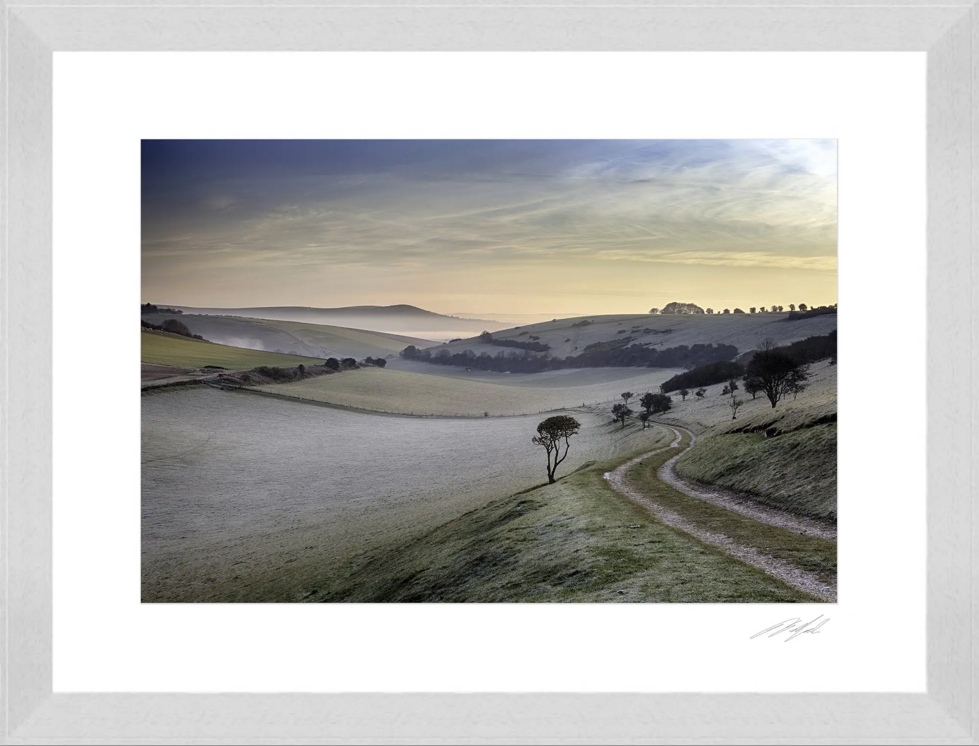 White Frame